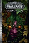 Buchcover World of Warcraft: Sturmgrimm