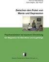Buchcover Zwischen den Polen von Manie und Depression
