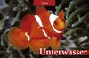 Buchcover Unterwasserwelten /Tauchen 2006