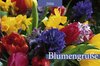 Buchcover Blumen 2006