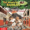 Buchcover Im Schatten des Vulkans