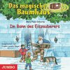 Buchcover Im Bann des Eiszauberers