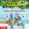 Buchcover Im Bann des Eiszauberers