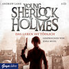 Buchcover Young Sherlock Holmes 2