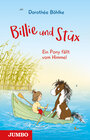 Buchcover Billie & Stüx. Ein Pony fällt vom Himmel