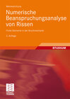 Buchcover Numerische Beanspruchungsanalyse von Rissen