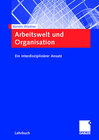 Buchcover Arbeitswelt und Organisation