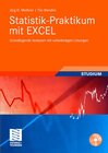 Buchcover Statistik-Praktikum mit Excel