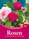 Buchcover Rosen