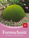 Buchcover Formschnitt