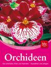 Buchcover Orchideen