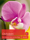 Buchcover Orchideen