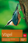 Buchcover Vögel