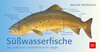 Buchcover Süßwasserfische