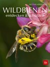 Buchcover Wildbienen entdecken & schützen