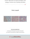 Buchcover CD34+ Fibrozyten im Stroma benigner und maligner Tumoren der Glandula parotidea