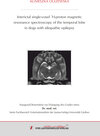 Buchcover Interictal single-voxel 1H-proton magnetic resonance spectroscopy of the temporal lobe in dogs with idiopathic epilepsy