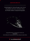 Buchcover Morphologische Untersuchungen zum Nervus infraorbitalis und Nervus alveolaris inferior des Pferdes mittels Computertomog