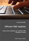 Buchcover Efficient XML Updates