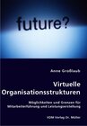 Buchcover Virtuelle Organisationsstrukturen