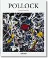 Buchcover Pollock