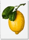 Buchcover The Gourmand's Lemon. A Collection of Stories and Recipes