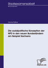 Buchcover Die sozialpolitische Konzeption der NPD in den neuen Bundesländern am Beispiel Sachsens