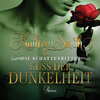 Buchcover Die Schattenritter - Kuss der Dunkelheit (DAISY)