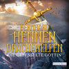 Buchcover Drachenelfen. Die gefesselte Göttin