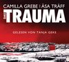 Buchcover Das Trauma