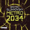 Buchcover Metro 2034