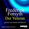 Buchcover Der Veteran