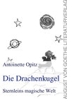 Buchcover Die Drachenkugel