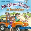 Buchcover Die Wilden Küken - 9 - Im Bernsteinfieber (Download)