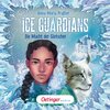 Buchcover Ice Guardians 1. Die Macht der Gletscher