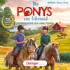 Buchcover Die Ponys von Lillasund 2. Schatzsuche auf vier Hufen