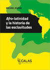 Buchcover Afro-latinidad e historia de las esclavitudes