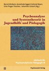 Buchcover Psychoanalyse und Systemtheorie in Jugendhilfe und Pädagogik