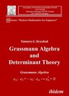 Buchcover Grassmann Algebra and Determinant Theory