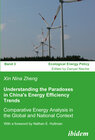 Buchcover Understanding the Paradoxes in China's Energy Efficiency Trends