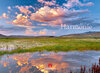 Buchcover Harmonie 2013