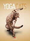 Buchcover Yoga Cats 2014