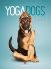 Buchcover Yoga Dogs 2015