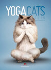 Buchcover Yoga Cats 2016