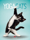 Buchcover Yoga Cats 2018