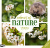 Buchcover Colours of Nature Kalender 2026 - 30x30