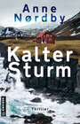 Buchcover Kalter Sturm