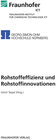 Buchcover Rohstoffeffizienz und Rohstoffinnovationen.