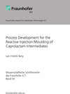 Buchcover Process Development for the Reactive Injection Moulding of Caprolactam Intermediates.