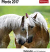 Buchcover Pferde - Kalender 2017